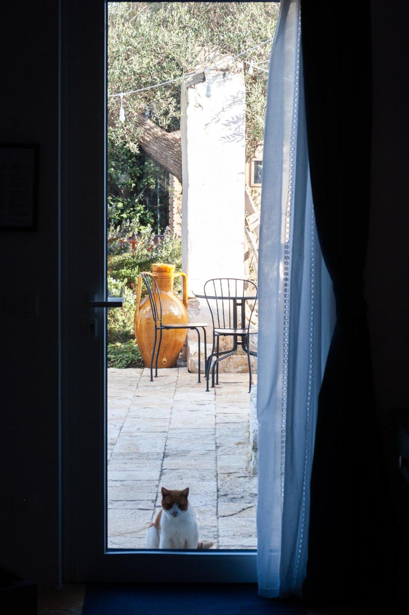 Casale Petrarolo Bed and Breakfast Monopoli Εξωτερικό φωτογραφία